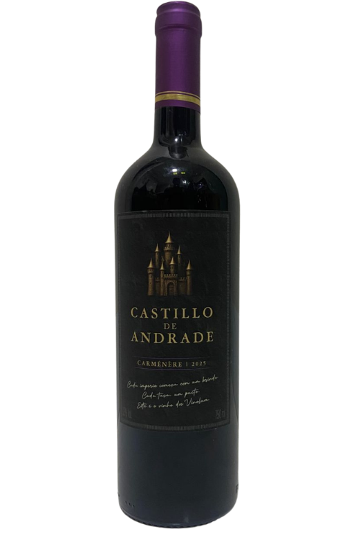 Castillo de Andrade