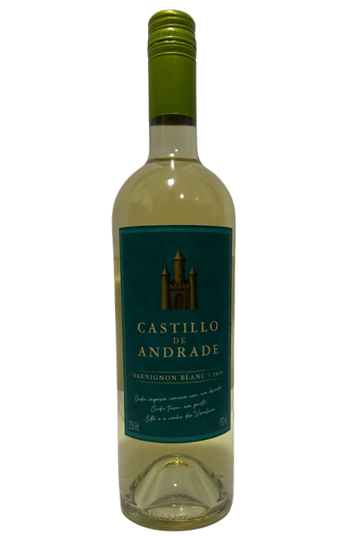 Castillo de Andrade